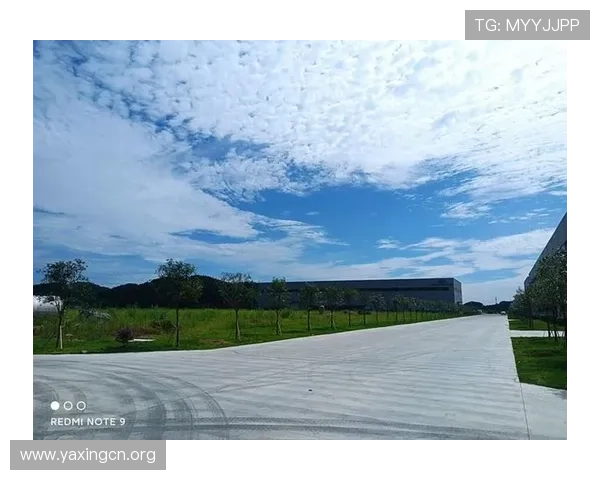 k8凯发入口官网安全登录指南，详细解析账号安全保护措施与常见问题解决方案